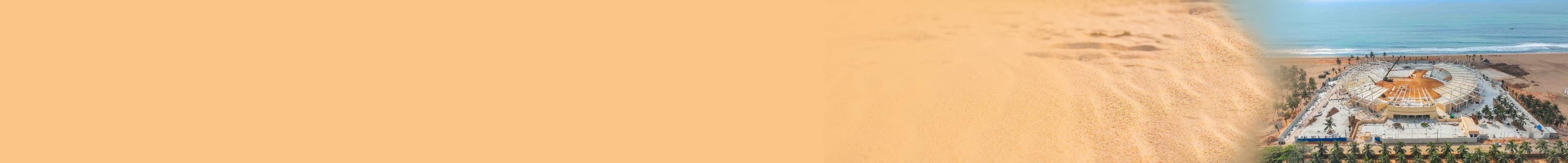 Disciplines background